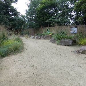 Penguin Bay beach area