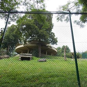 One acre lion enclosure