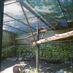 Primate House