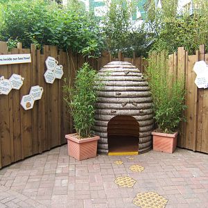 Education display about Bee`s