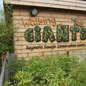 New name for the Tortoise House