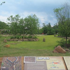 Impala exhibit