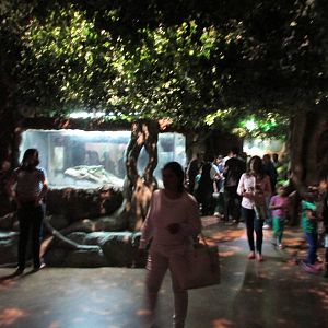 freshwater  area acuario inbura