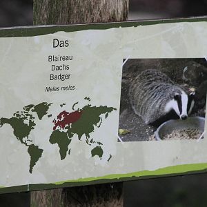 Sign Badger