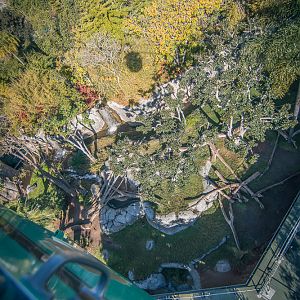 Gorilla Overhead, Part 01