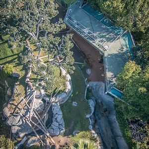 Gorilla Overhead, Part 02