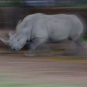 summer night opening, june 27, 2014
