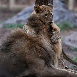 summer night opening, june 27, 2014