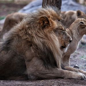 summer night opening, june 27, 2014