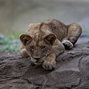 summer night opening, june 27, 2014