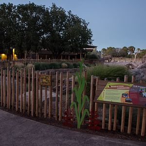 summer night opening, june 27, 2014