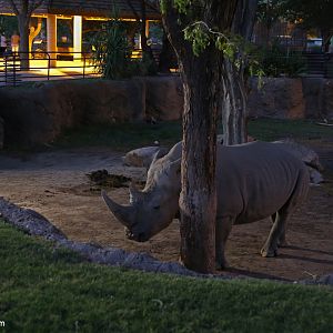 summer night opening, june 27, 2014