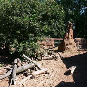 Aarvdark Exhibit at Blackpool Zoo, 29/06/14