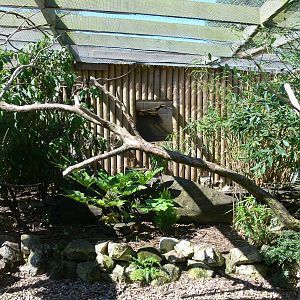 Parrot Exhibit at Blackpool Zoo, 29/06/14