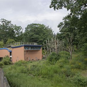 #1 Bonobo exhibit in the world?