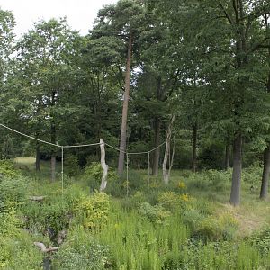 #1 Bonobo exhibit in the world?