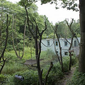 White-throated capuchin islands, 6/28/14