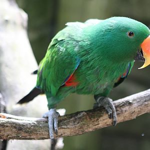 Eckie, 29th June 2014