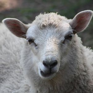 April, 29th June 2014