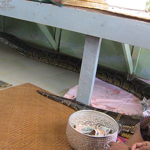 snake monastery in Bago