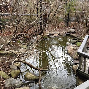 Alligator Alley Aviary