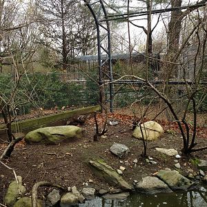 Alligator Alley Aviary