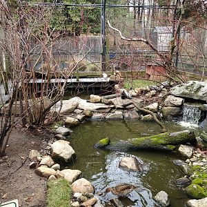 Alligator Alley Aviary