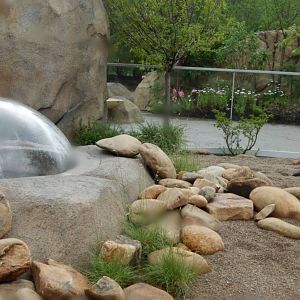 Africa - Phase IV (New 2014!) - Having Fun on the Job!