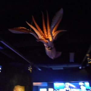 Giant squid model