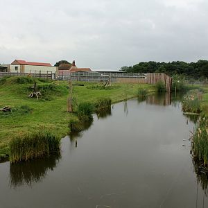 Lion enclosure.29/6/14