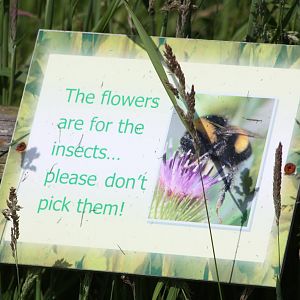 Signage, 19th June 2014