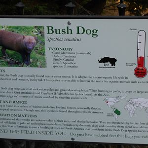 Bush dog sign