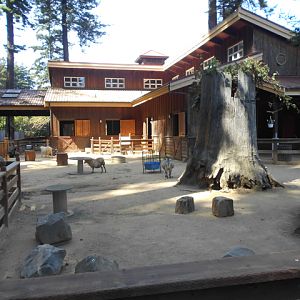 Barn and contact yard