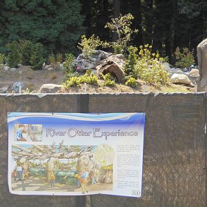 New river otter exhibit construction