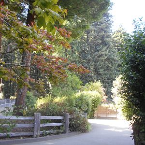 redwood forest setting of Sequoia Park Zoo