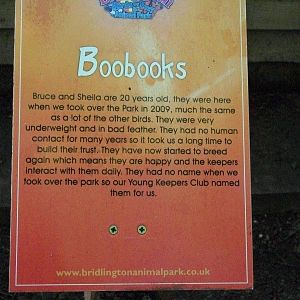 Signage, 6th June 2014