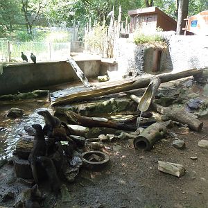 North American River Otter Exhibit