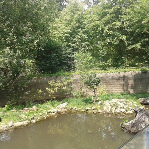 Part of the European otter enclosure