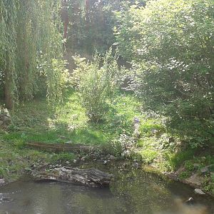 European otter enclosure