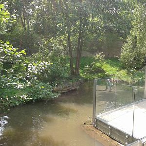 European otter enclosure