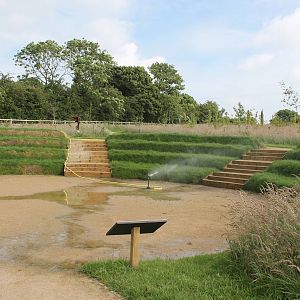Chester Zoo, nature reserve 24 June 2014