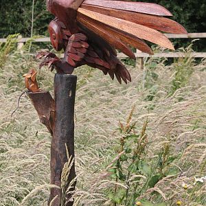 Chester Zoo, nature reserve, owl sculpture 24 June 2014