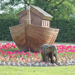Chester Zoo ark and elephant 24 June 2014