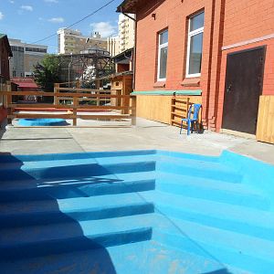 Pygmy hippo outdoor exhibit - 1