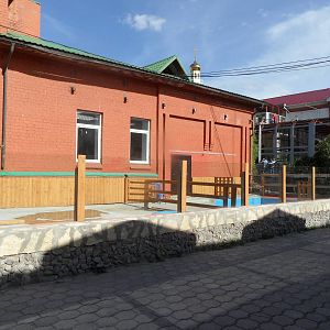 Pygmy hippo outdoor exhibit - 2