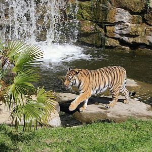 Sayan infront of waterfall 8/6/14