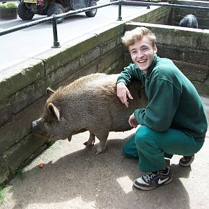 madgeandshane's final day at the zoo before heading for Knowsley, 28th June