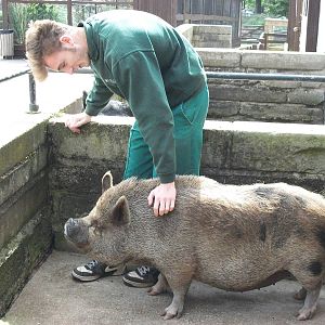 madgeandshane's final day at the zoo before heading for Knowsley, 28th June