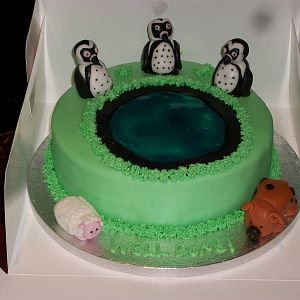 A cake for madgeandshane, 3rd July 2014