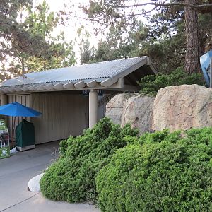 Northern Frontier - Polar Bear Plunge - Arctic Trader Shop